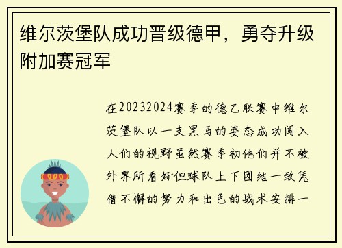 维尔茨堡队成功晋级德甲，勇夺升级附加赛冠军